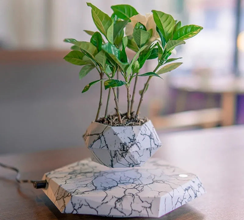 Levitating plant pot marble colour floating with magnetic levitation base