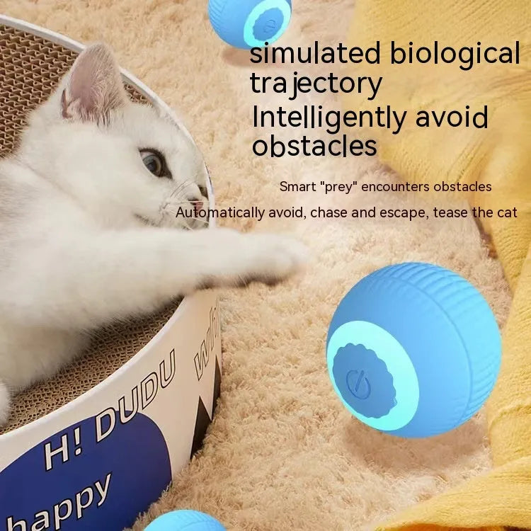 Blue silicone gravity rolling cat teasing ball on a floor