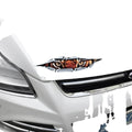 3D Tiger Eye and Eagle Eye pattern car bumper stickers measuring 10x35cm on vehicle door