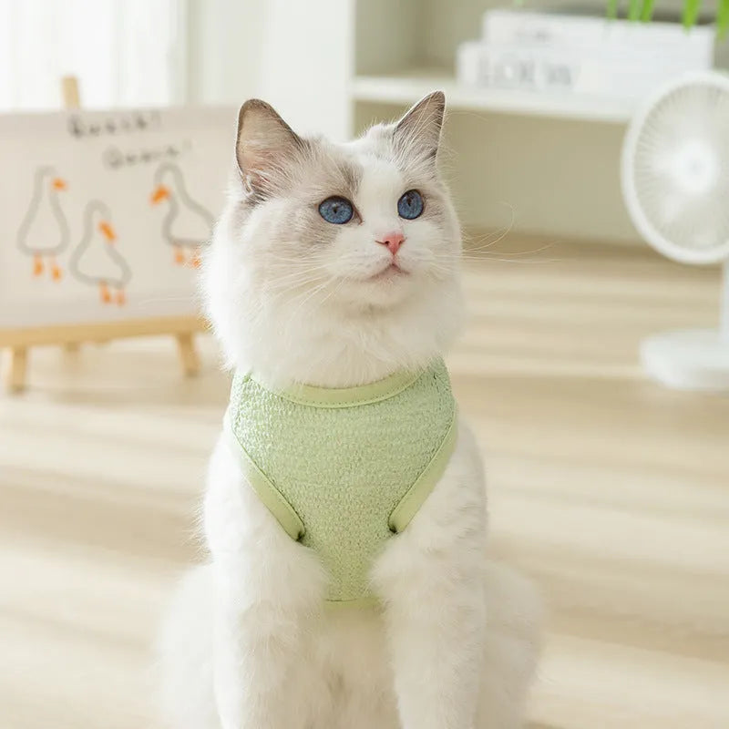 Green cat clothing with a cartoon bear patch, made from hollowed-out knitted fabric.