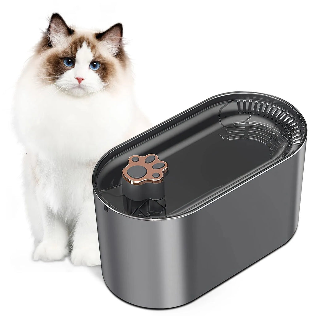 Berlin blue 3L automatic pet water fountain with LED light and quiet pump on floor