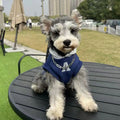 Blue polyester pet hoodie with reflective letters on a dog, slim-fitting design for cats and dogs