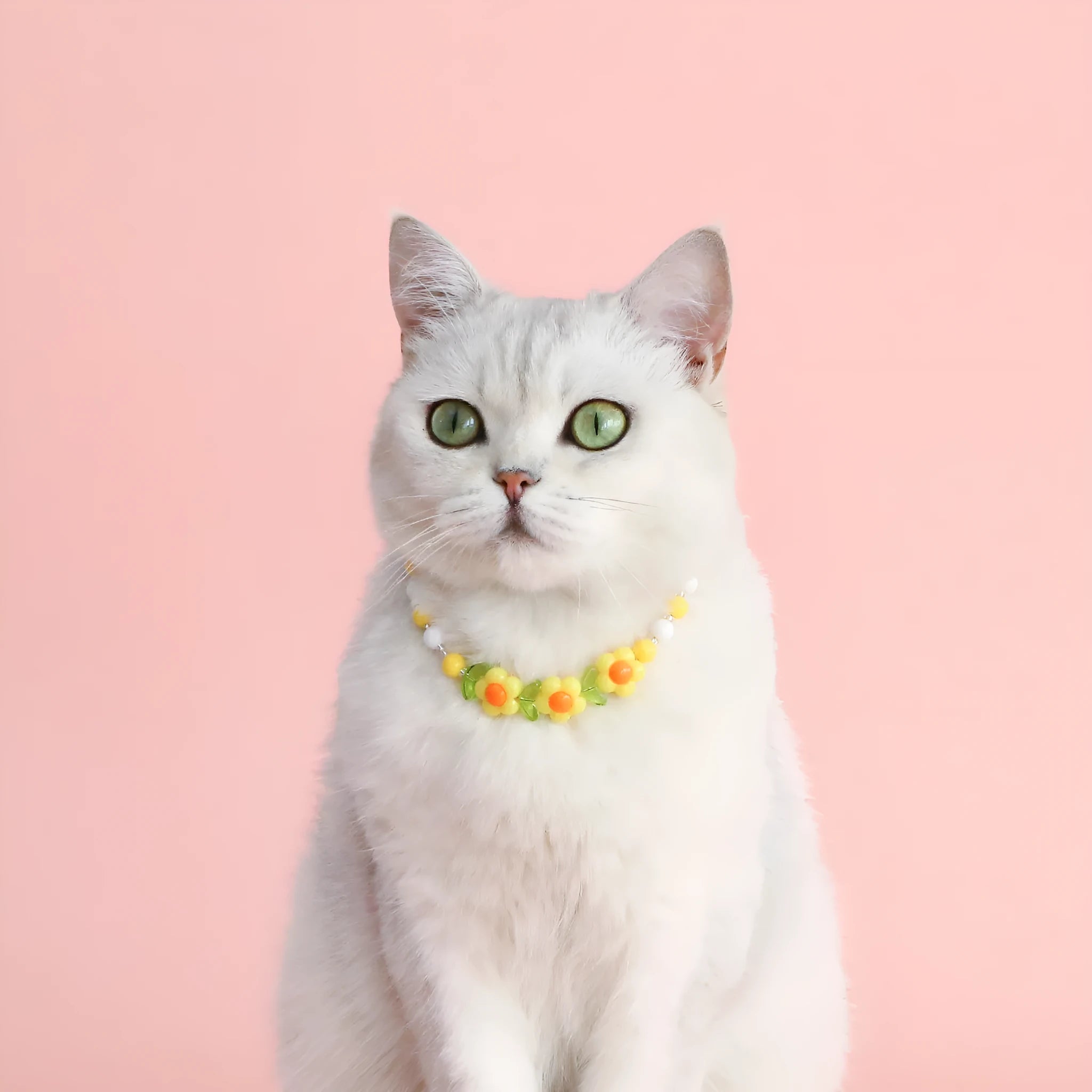 Colourful bead pet necklace for dogs and cats in rainbow, peach, or small flower patterns with adjustable sizing