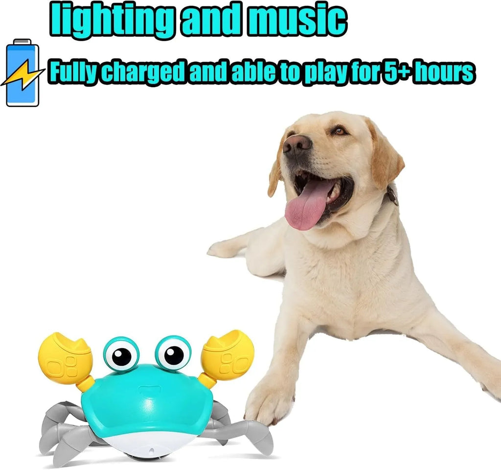 Blue or red electronic crawling crab dog toy with lights, shown next to its USB charging cable.
