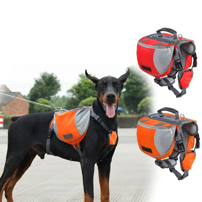 Black dog hiking pack with reflective tape and adjustable neck straps on Siberian Husky outdoors