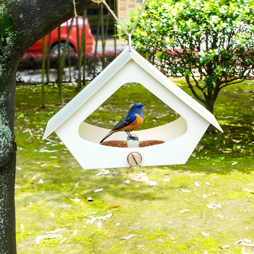 European-style simple iron bird nest for outdoor courtyard decoration with anti-rain finish