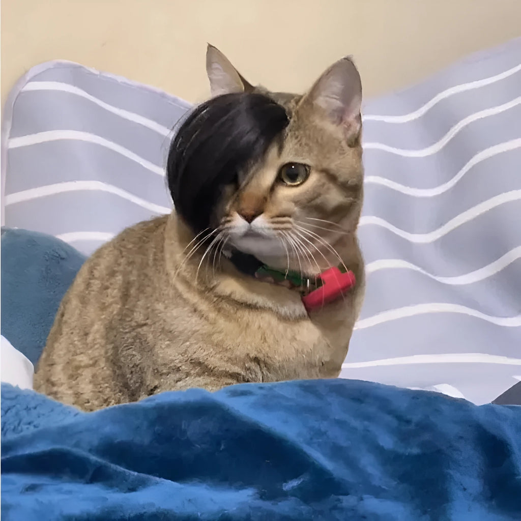 Black polyester cat wig with long imitation braid for fox costume dress up