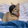 Black polyester cat wig with long imitation braid for fox costume dress up