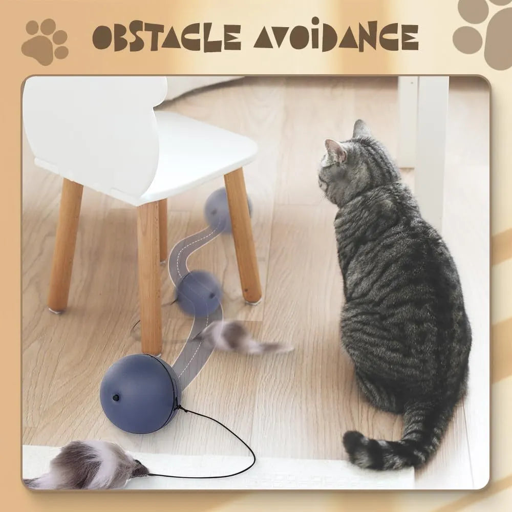 Automatic interactive cat ball toy in blue orange colour, self-rolling motion for indoor pets