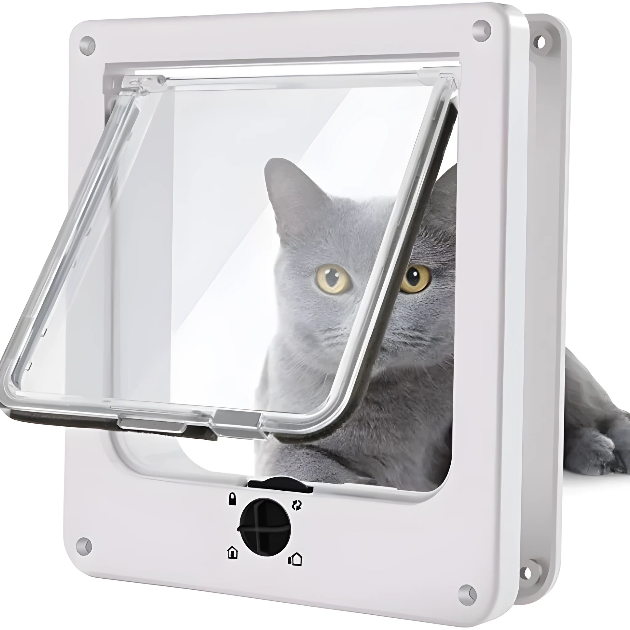 Interior cat door with rotary lock magnetic closure in black, showing frame and flap.