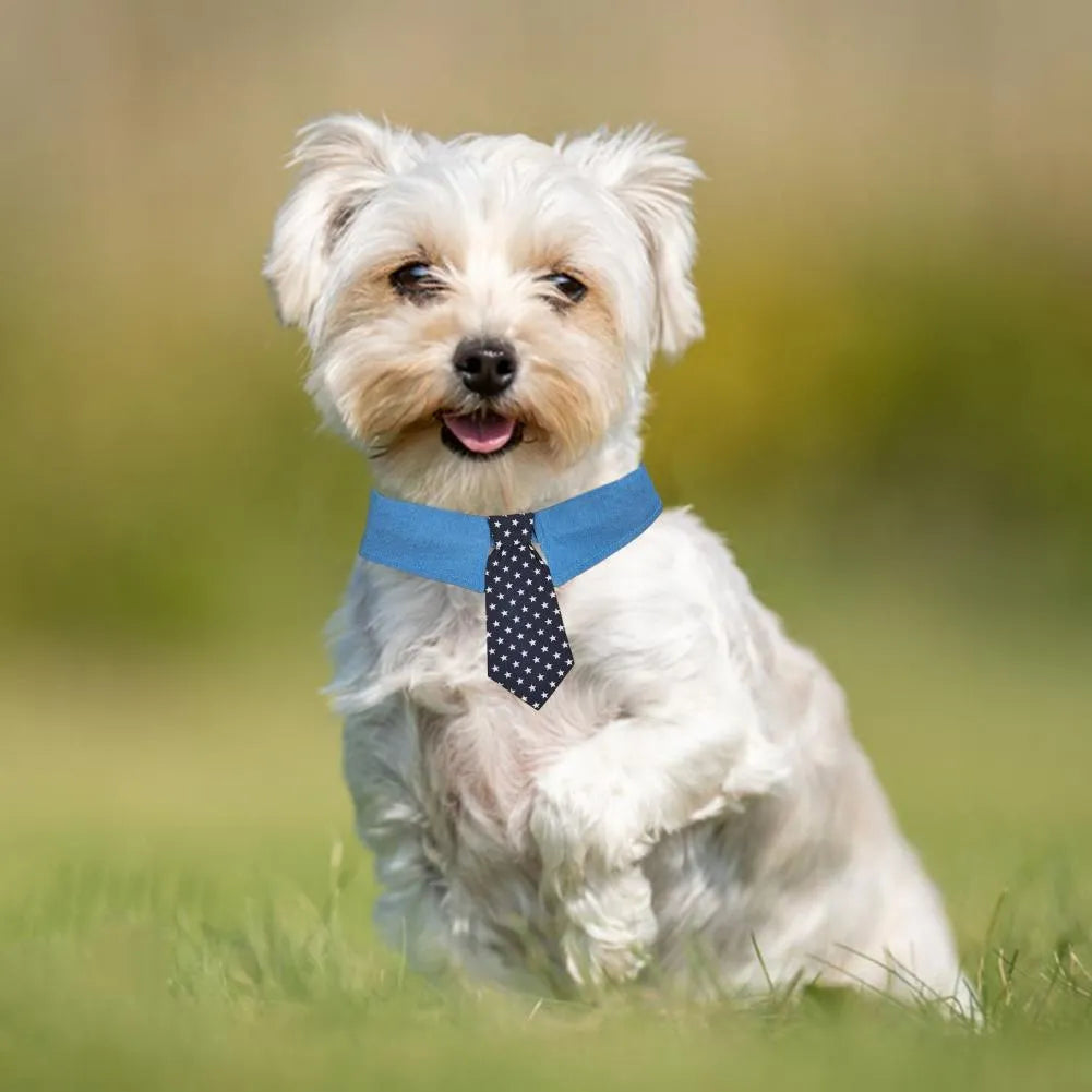 Denim pet collar with star pattern necktie, adjustable fastener tape, on a light background