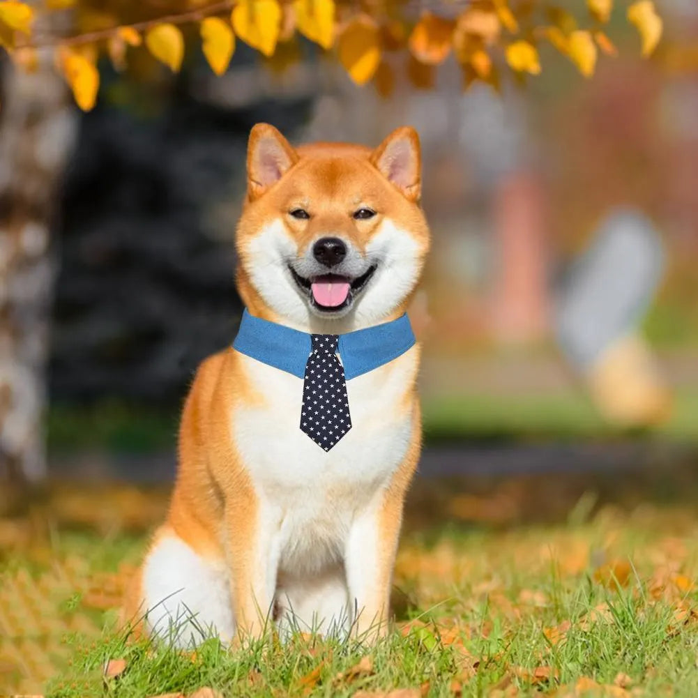 Denim pet collar with star pattern necktie, adjustable fastener tape, on a light background
