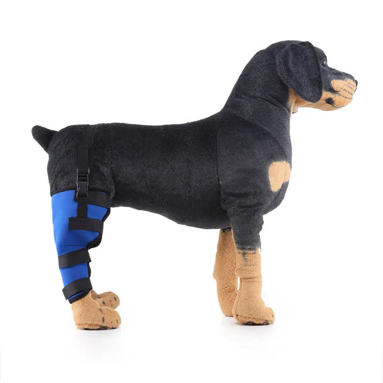 Pet leg rehabilitation foot support in black SBR material with adjustable wrap design