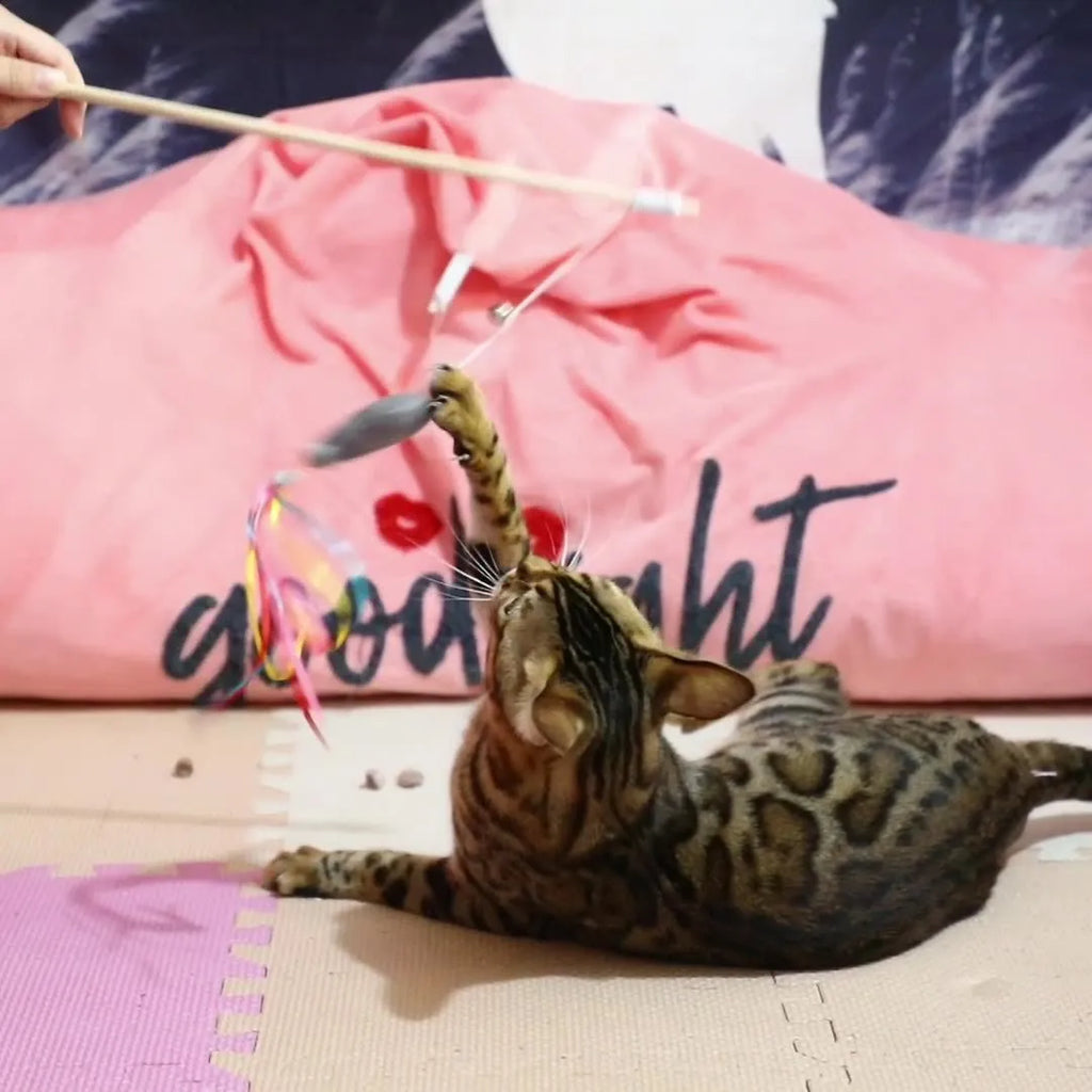 Cat wand toy with colourful ribbons, catnip fish, and bell on wooden handle for interactive play