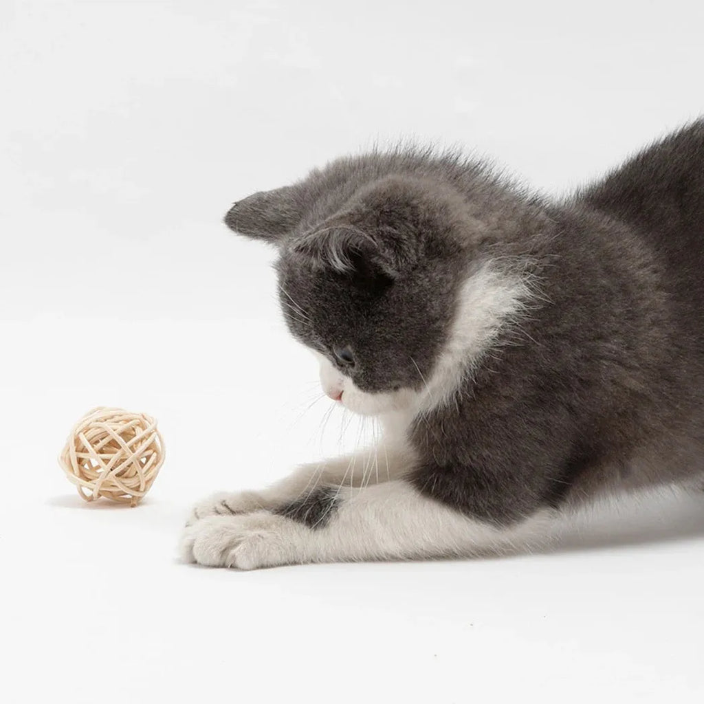Two cat toys: hollow rattan ball and faux feather ball with bell attachment on neutral background