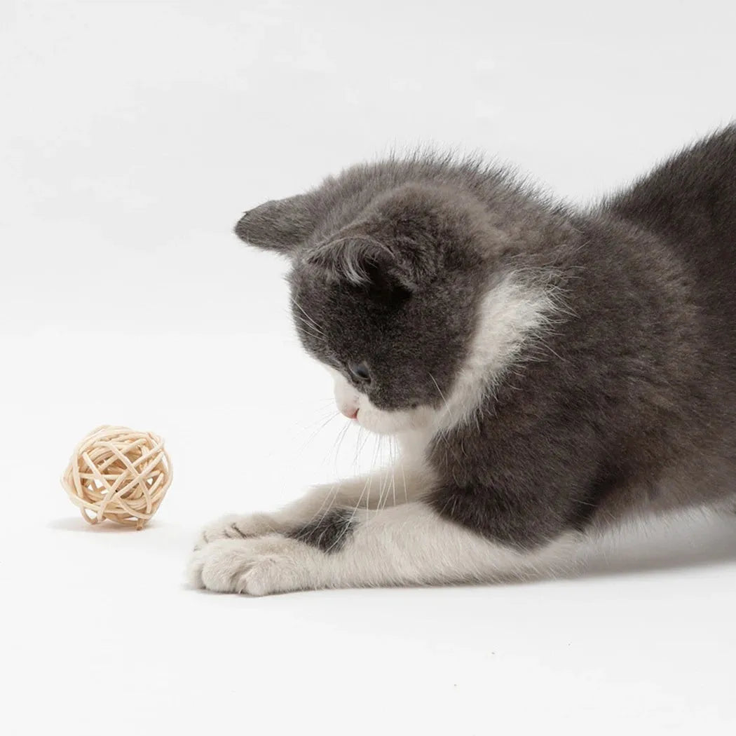 Two cat toys: hollow rattan ball and faux feather ball with bell attachment on neutral background