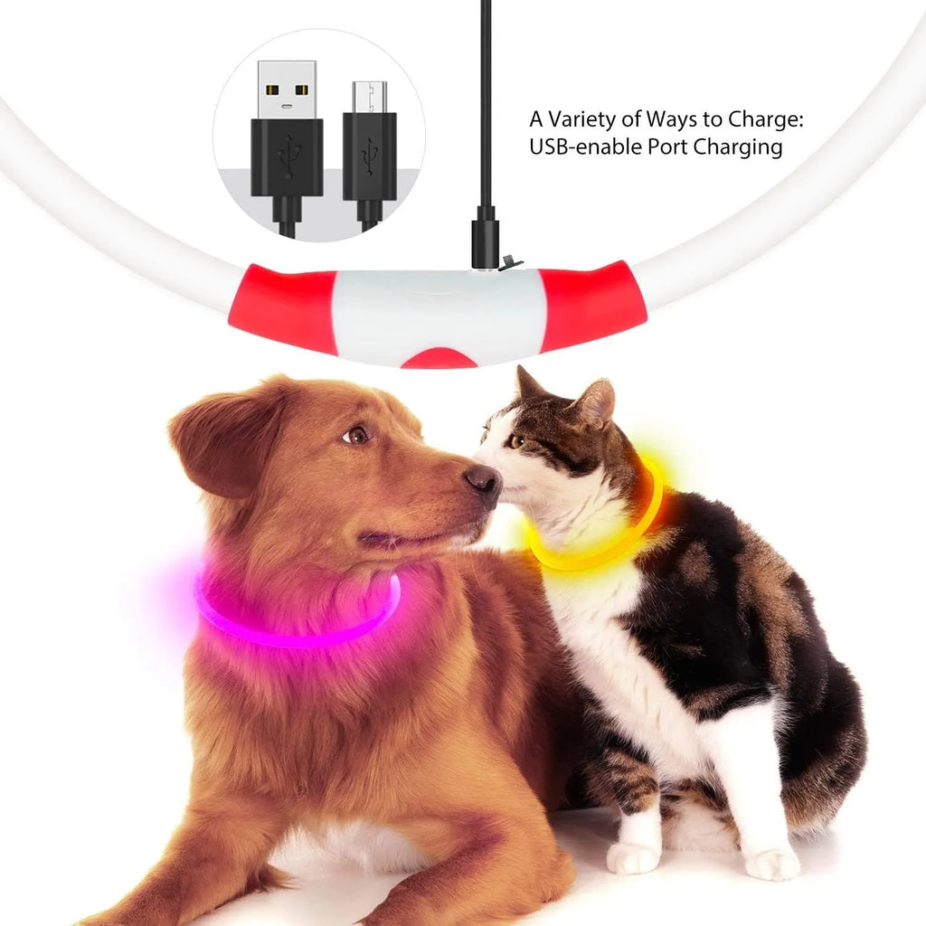 Blue LED dog collar glowing around dog's neck with USB charging cable