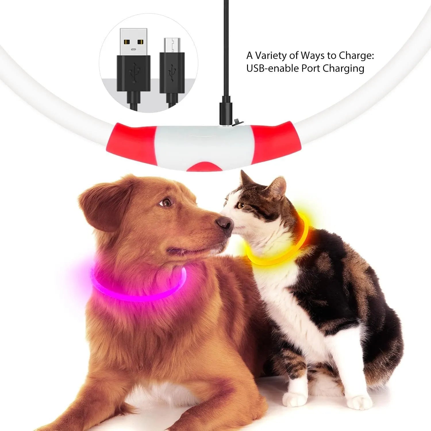 Blue LED dog collar glowing around dog's neck with USB charging cable