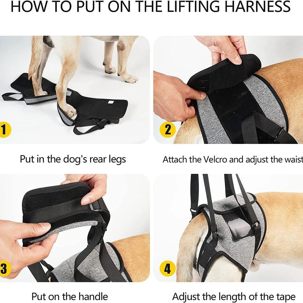 Grey neoprene dog recovery belt for rear leg support with adjustable sizing