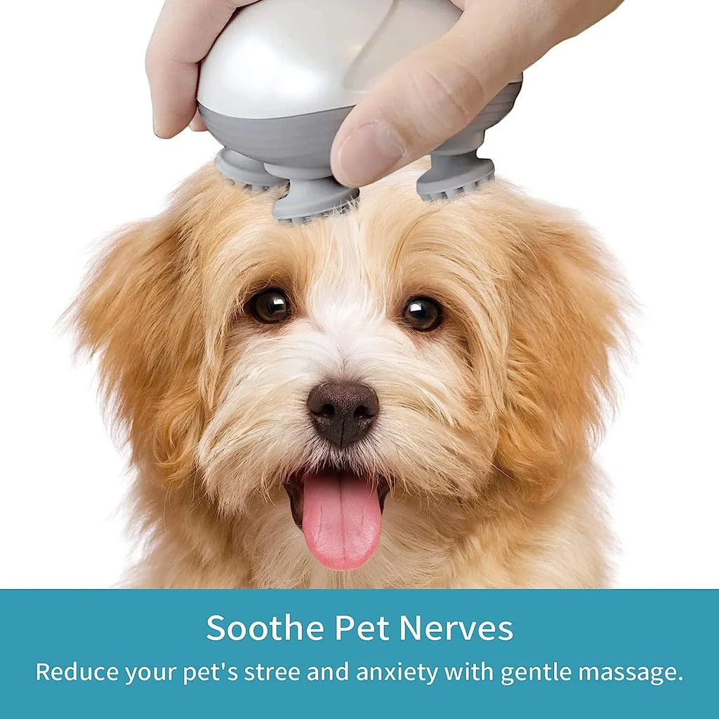 Blue electric handheld pet massager with four rotating heads on a white background.