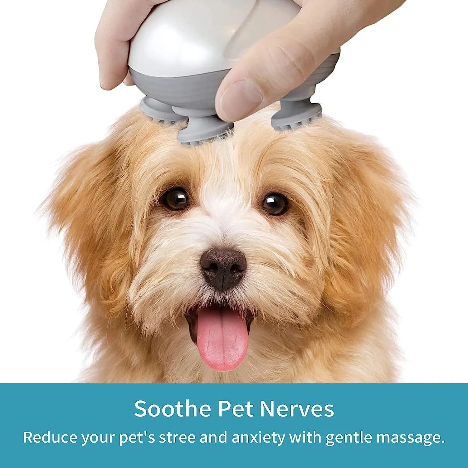 Blue electric handheld pet massager with four rotating heads on a white background.