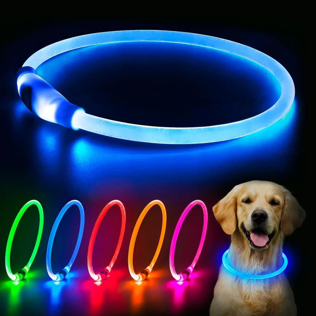 Blue LED dog collar glowing around dog's neck with USB charging cable