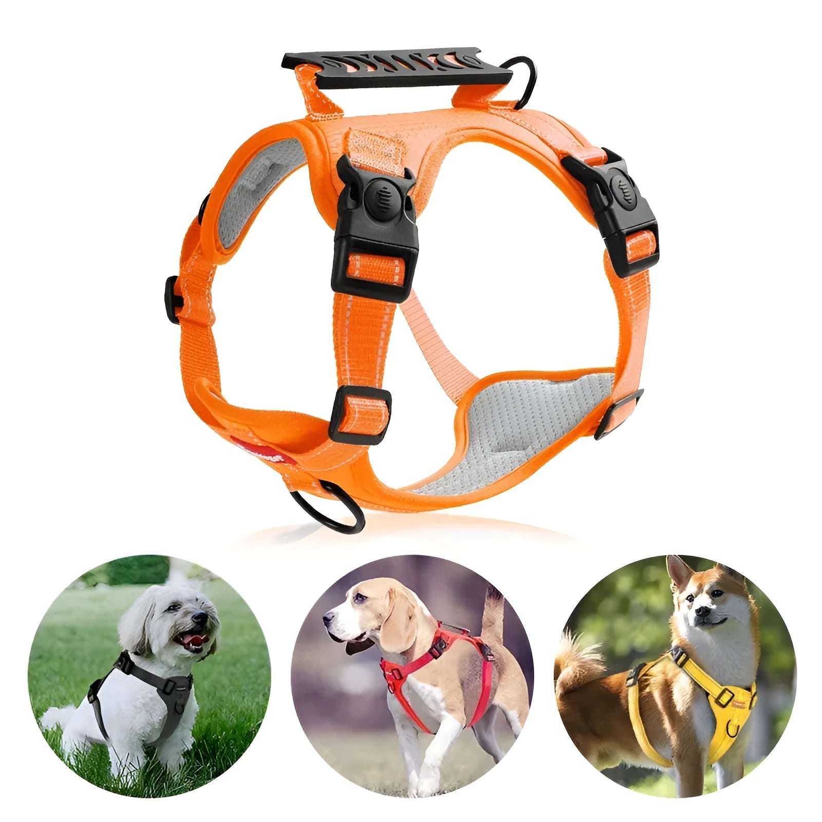 Polyester dog chest harness traction rope in multiple colours with adjustable sizing for secure canine control
