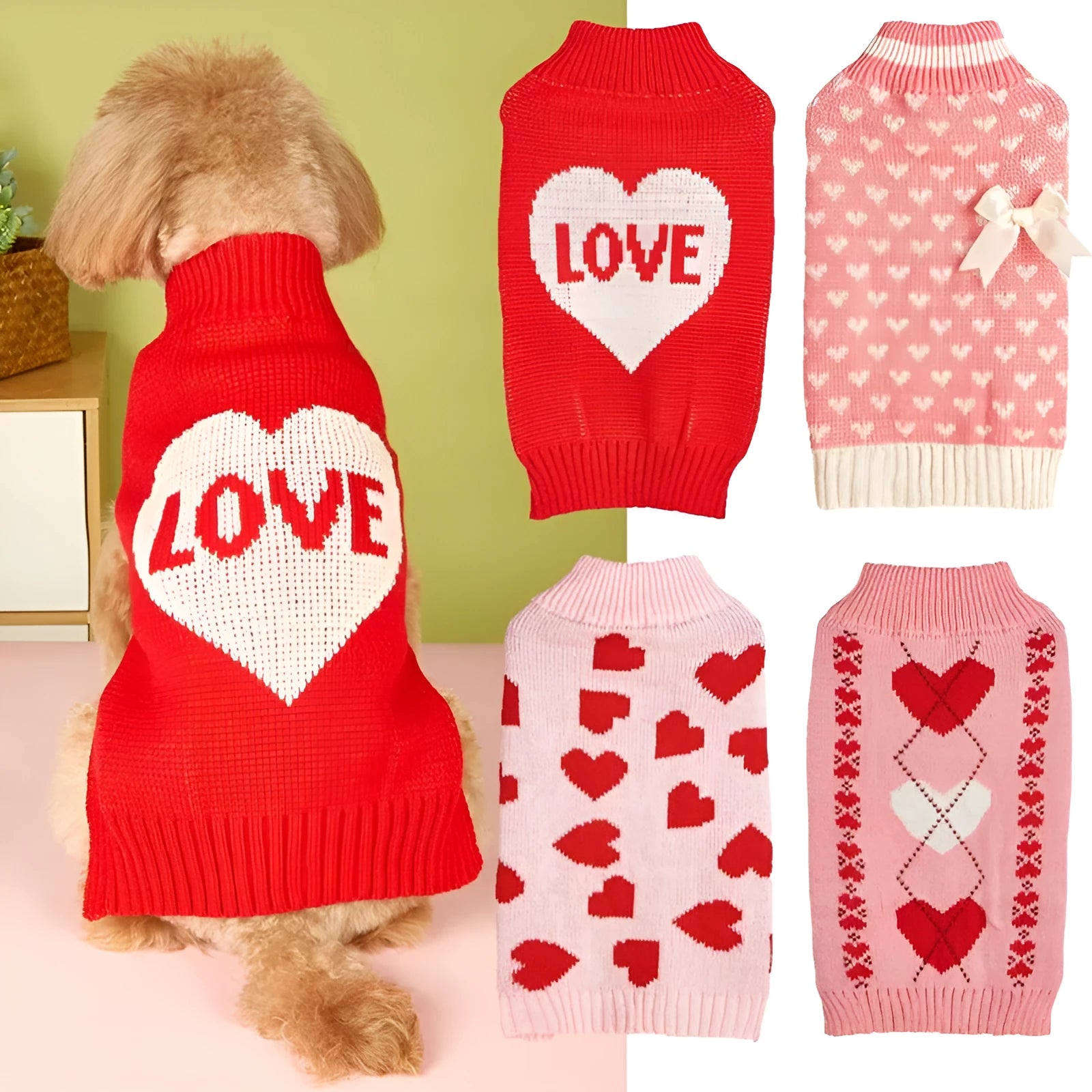 Small dog wearing a red knitted jumper with a white love heart motif on the chest.