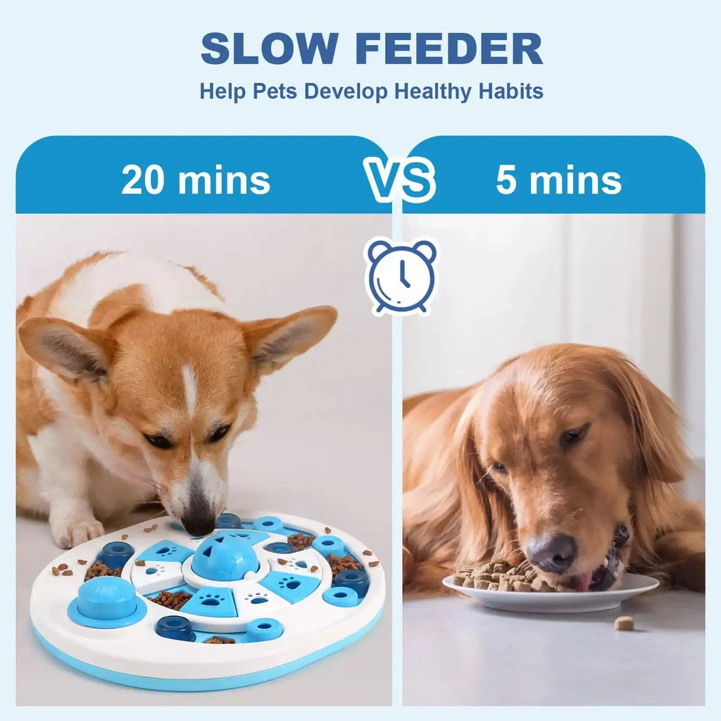 Dog puzzle toy with spherical bells and 24 hidden food compartments in blue and red colours on a light background