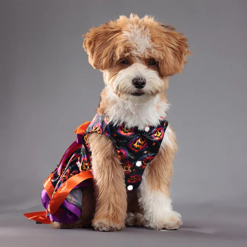 Halloween dog skirt with colourful pumpkin pattern, double-layer construction, shown on model dog.