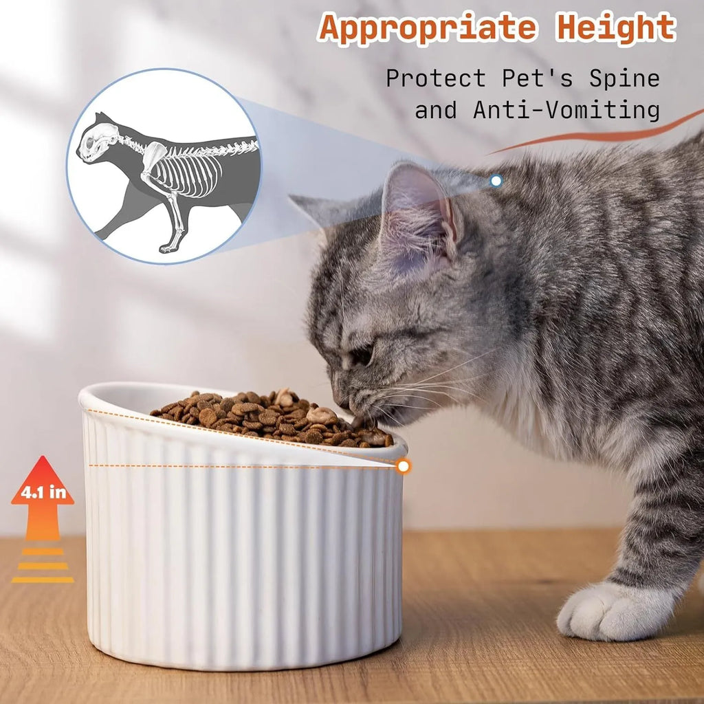 Elevated ceramic cat bowl in green colour showing tilted design and raised height for comfortable feeding