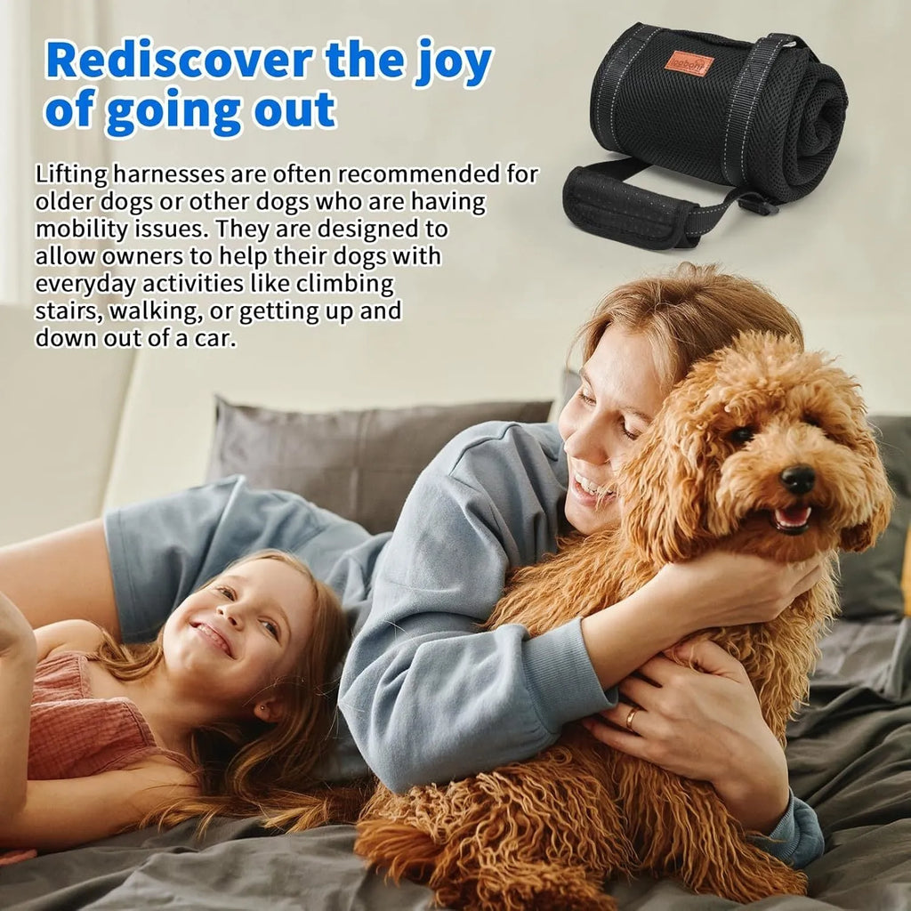 Portable dog sling for hind leg support with adjustable reflective nylon straps and padded handle