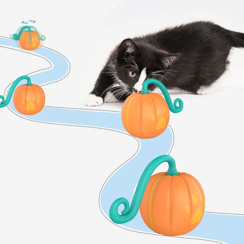 Electric cat toy luminous ball in pumpkin colour on floor
