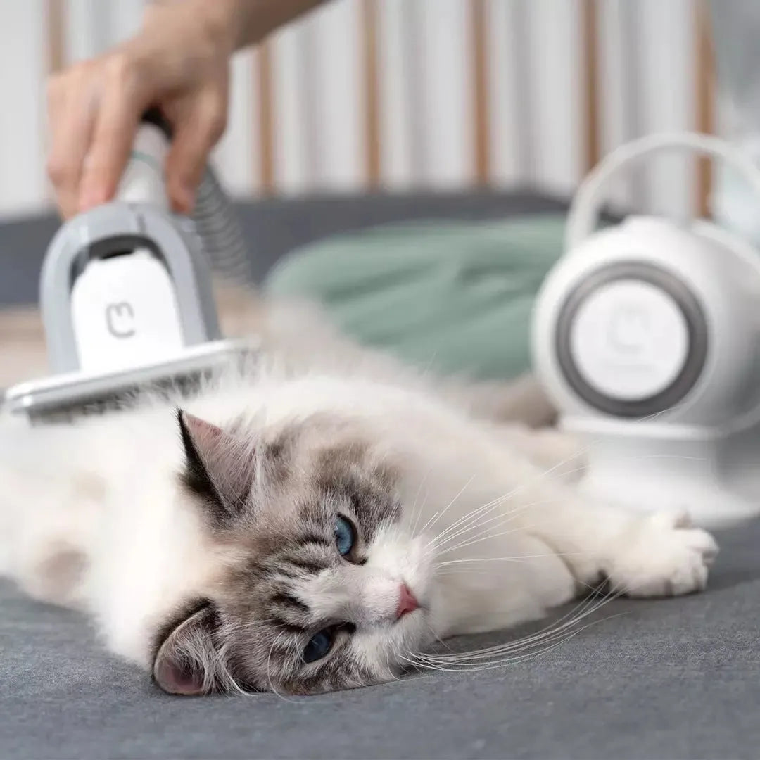 Pet multifunctional groomer in white with hair clipper, electric scissors, and accessories on surface