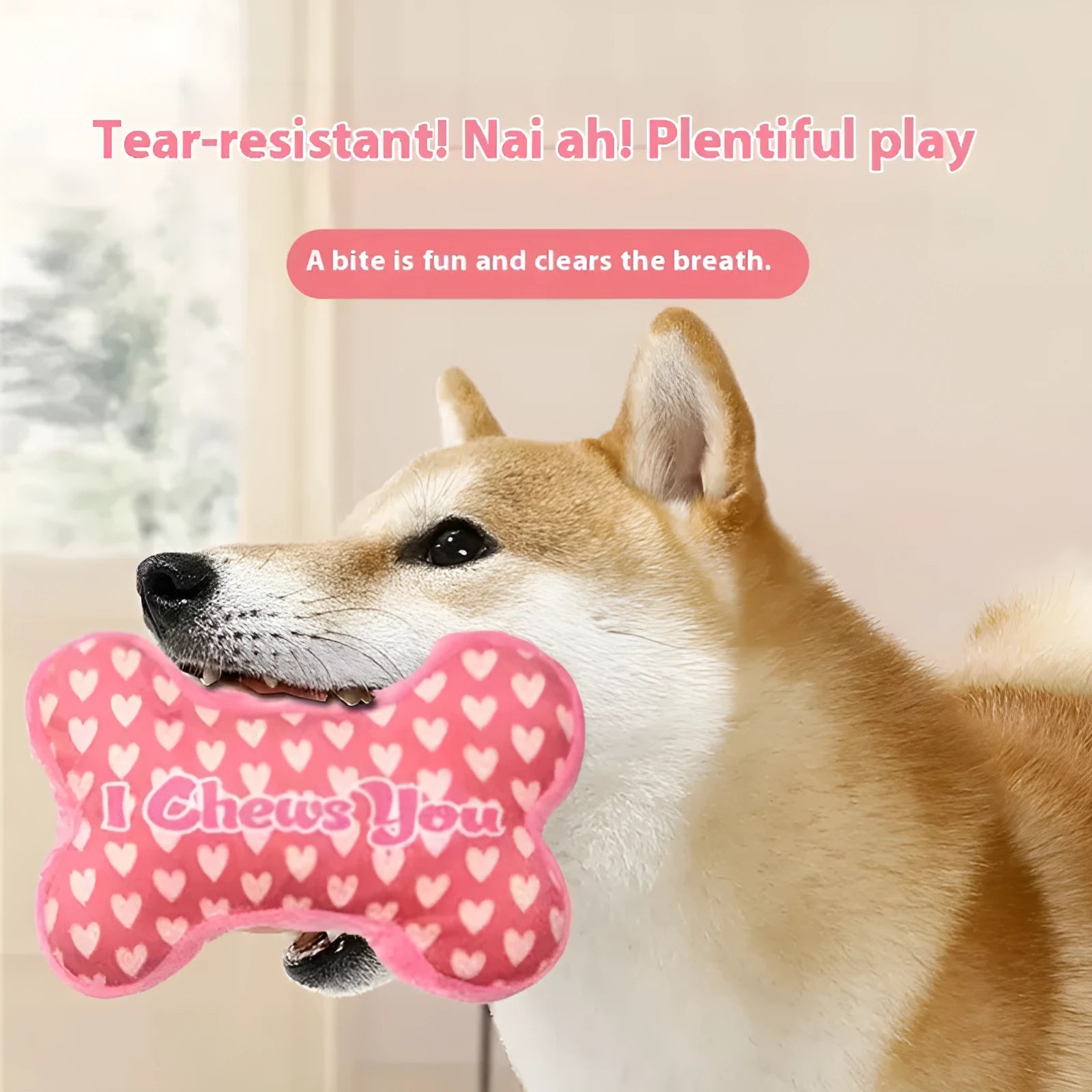Plush pet dental toy for dogs in four colour options with bite-resistant PP construction