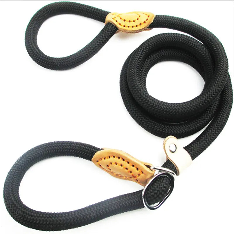 Brown nylon dog leash with a metal P-chain integrated into the handle loop.