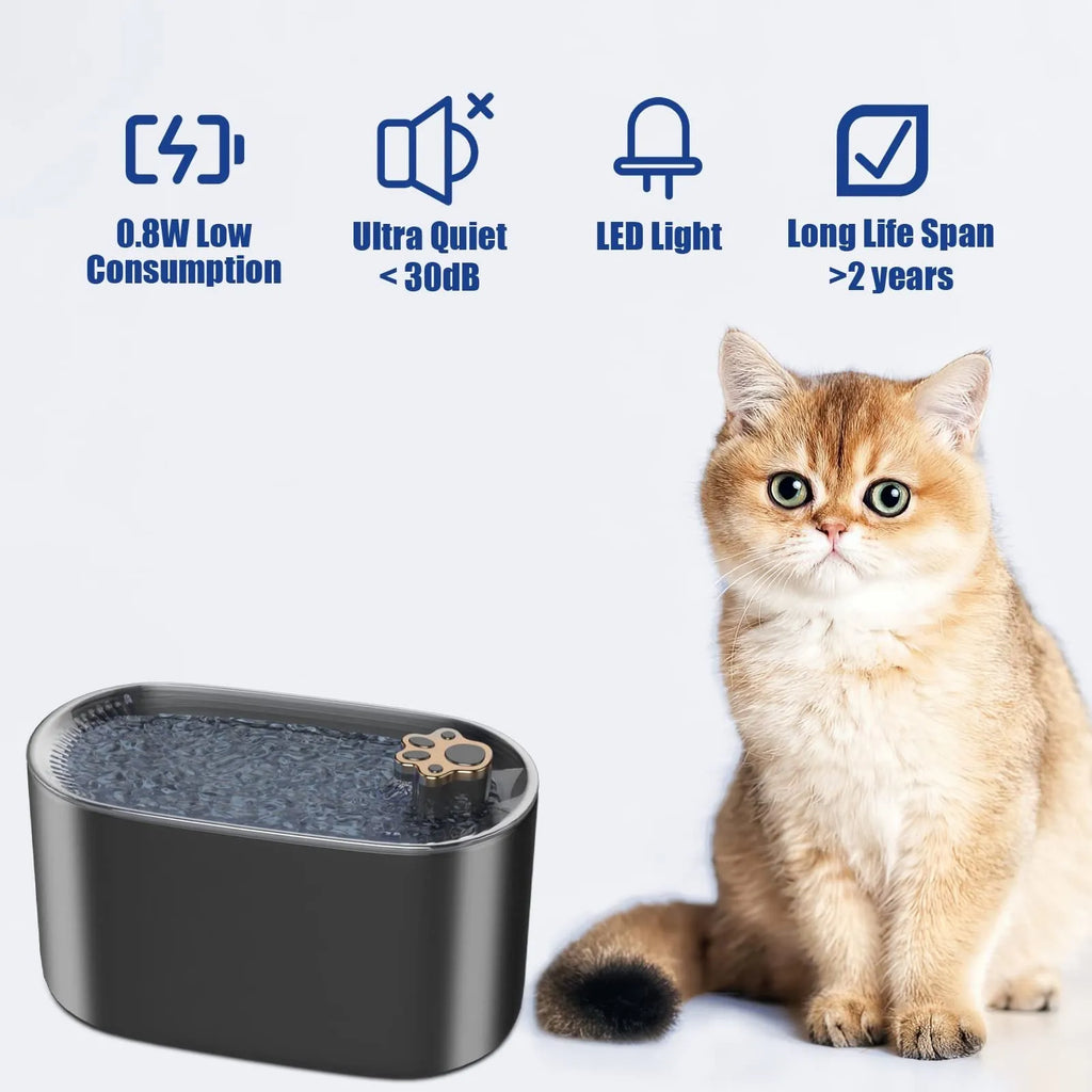 Berlin blue 3L automatic pet water fountain with LED light and quiet pump on floor