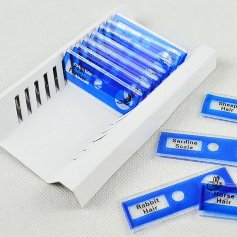 48 plastic microscope slides in four colour-coded boxes showing plant rhizomes, roots, and animal specimens