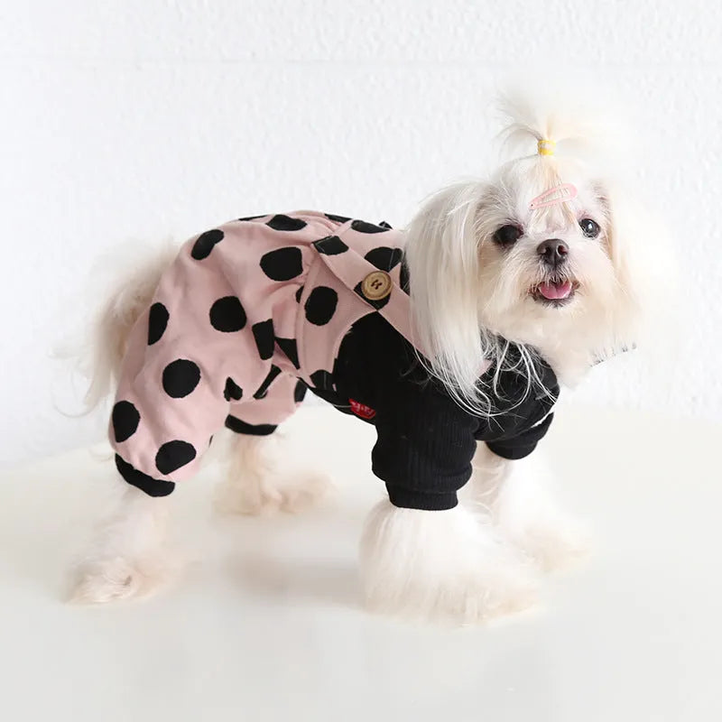 Dog couple clothing outfits in skirt and four-legged styles showing size options from XS to XL