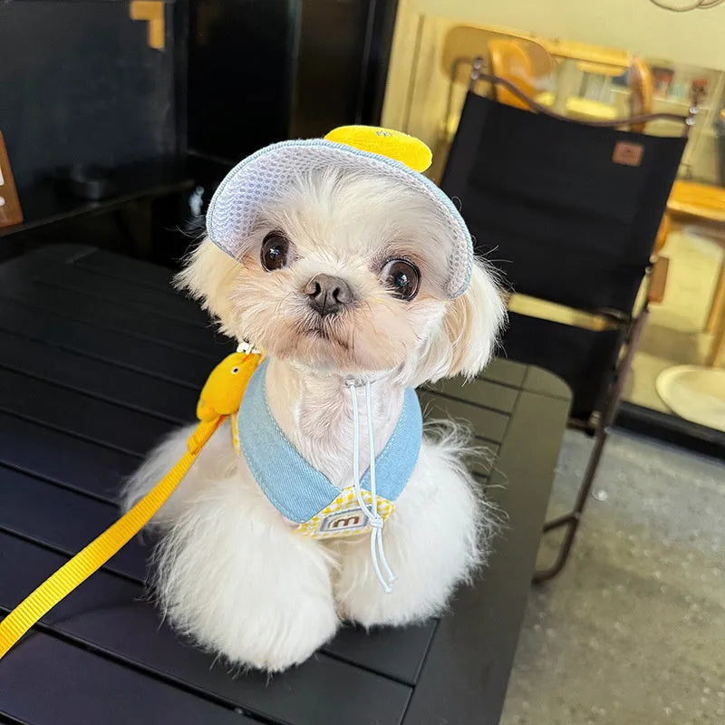 Three-piece pet set with a dog harness and leash, a wire rope pulling toy, and a cute hat on a cat or small dog.