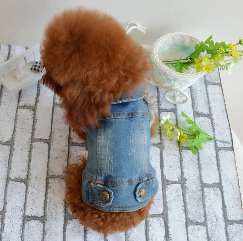 Denim dog vest with distressed retro scratch pattern design for small breed autumn winter wear