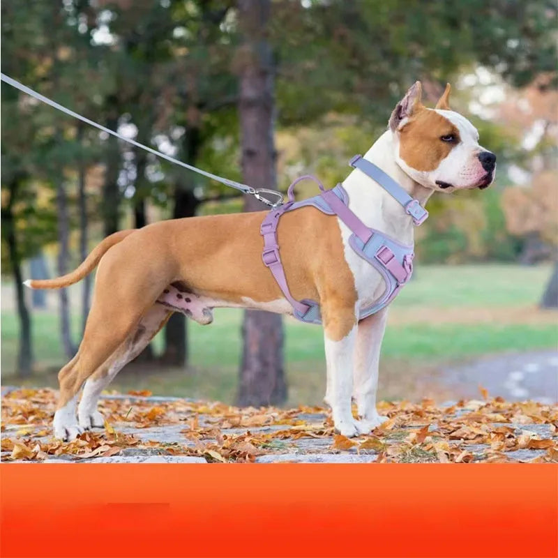 Fabric dog chest strap harness with hand-holding rope in pink and blue colour