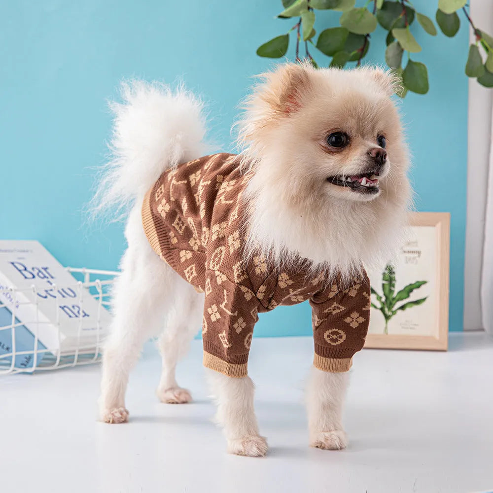 Wool knitted dog sweater in a two-tone colour on a small dog.