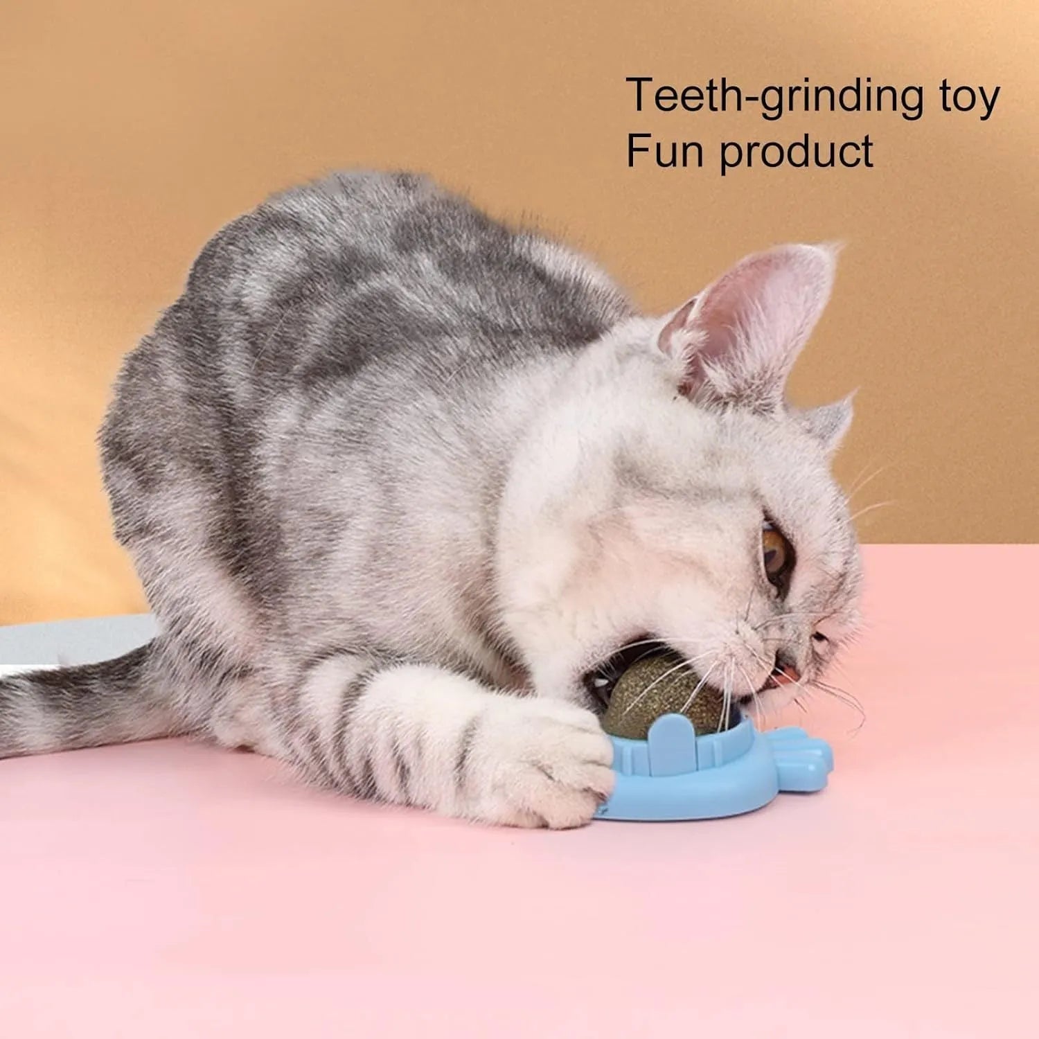 Blue carrot-shaped catnip ball with self-adhesive backing for wall-mounted feline dental care