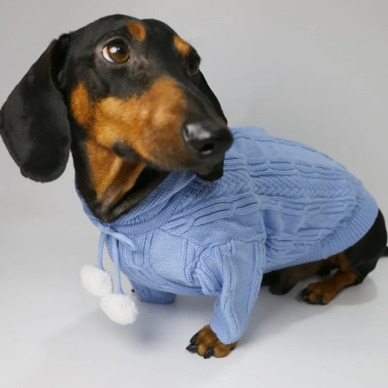 Pet hooded sweater for dogs, two-leg design, blended fabric, sky blue and beige colours, sizes XS to XL