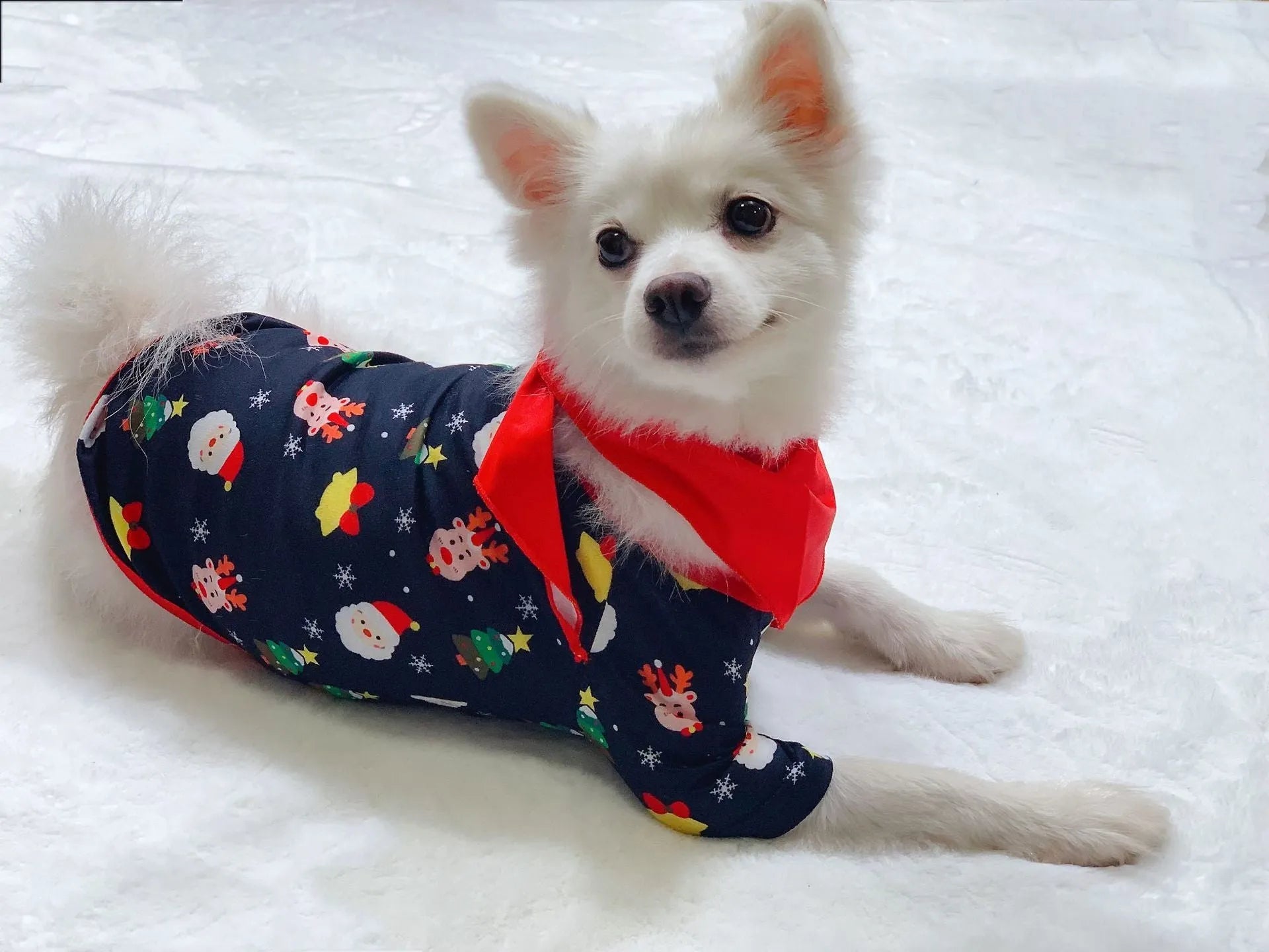 Family Christmas matching pyjamas set in cotton with plaid and cartoon designs for adults, children, babies and dogs