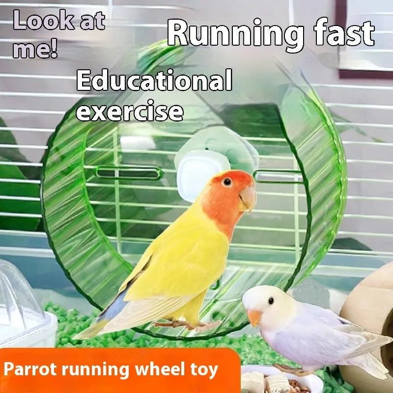 A plastic parrot exercise running wheel toy shown in transparent, green, grey, orange, or purple, available in 17cm and 21cm sizes.