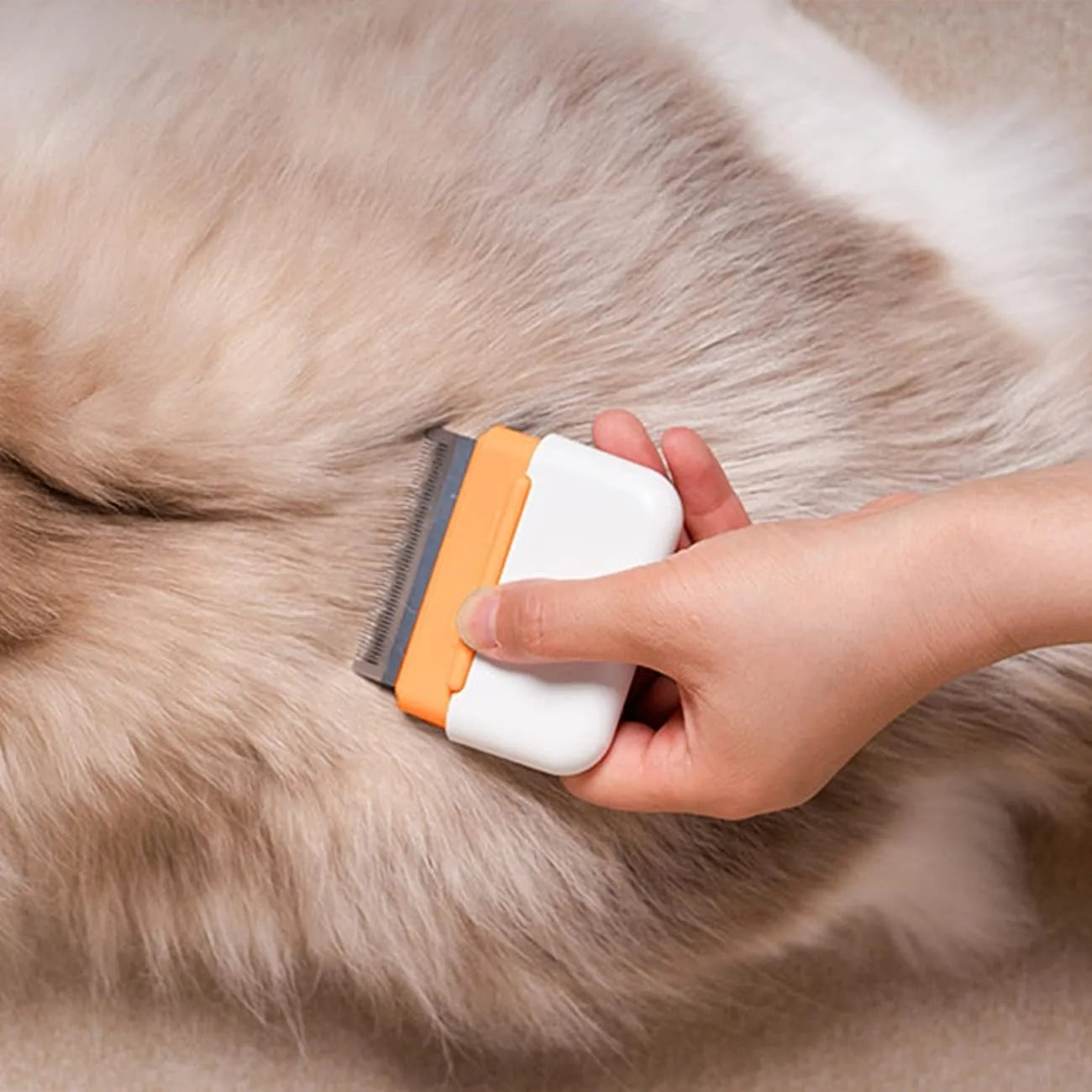 Blue double-sided pet grooming comb for removing loose and tangled hair from cats and dogs