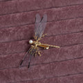 European golden dragonfly side clip headdress made of alloy with electroplated finish for women