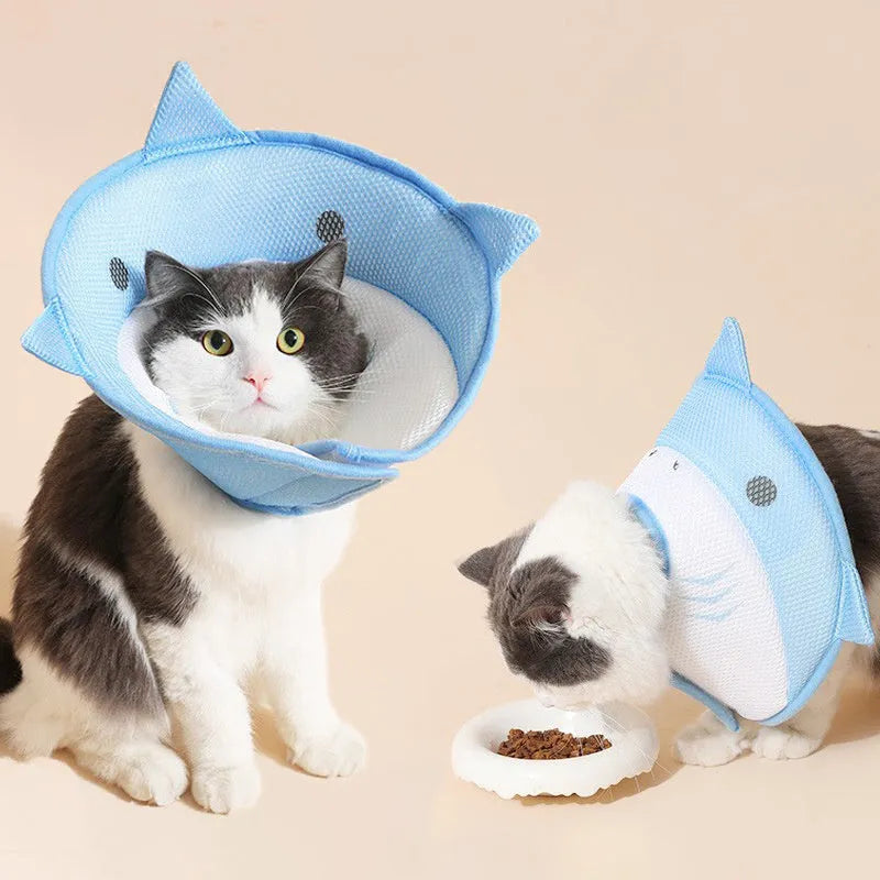 Soft cat recovery collar in shark shape made from nonwoven fabric, available in multiple sizes